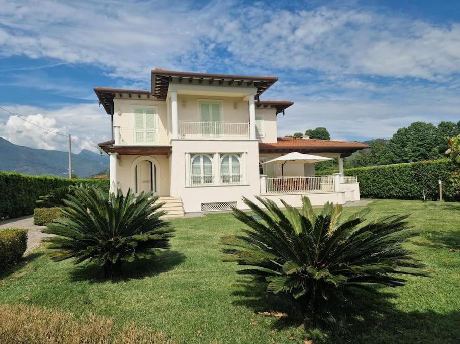 Villa Oriella - Piscina Idromassaggio E Relax -Versilia Camaiore Esterno foto